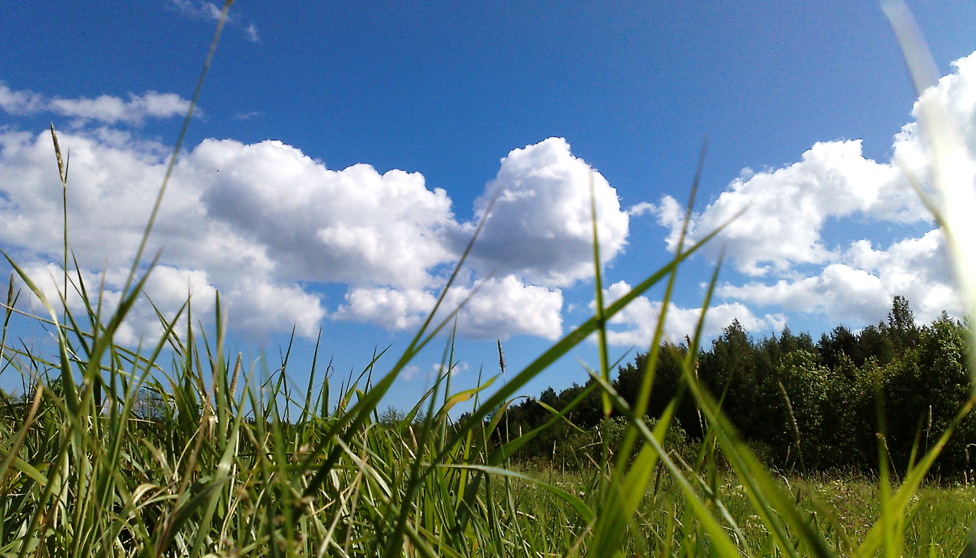 sky-environment